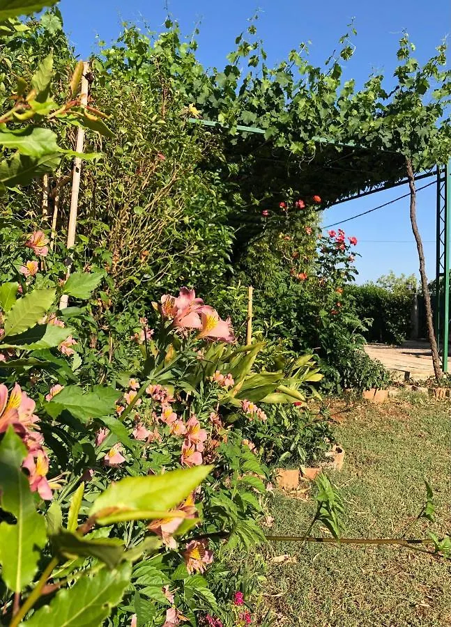 Appartamento da Vjeri Pola